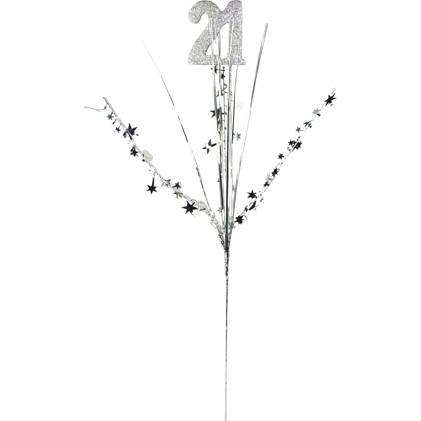 21st Birthday Silver Star Foil Spray