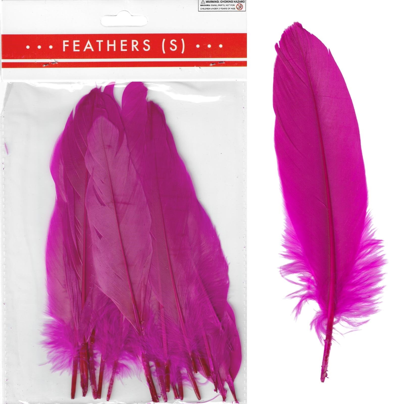 Hot Pink Feathers 17cm