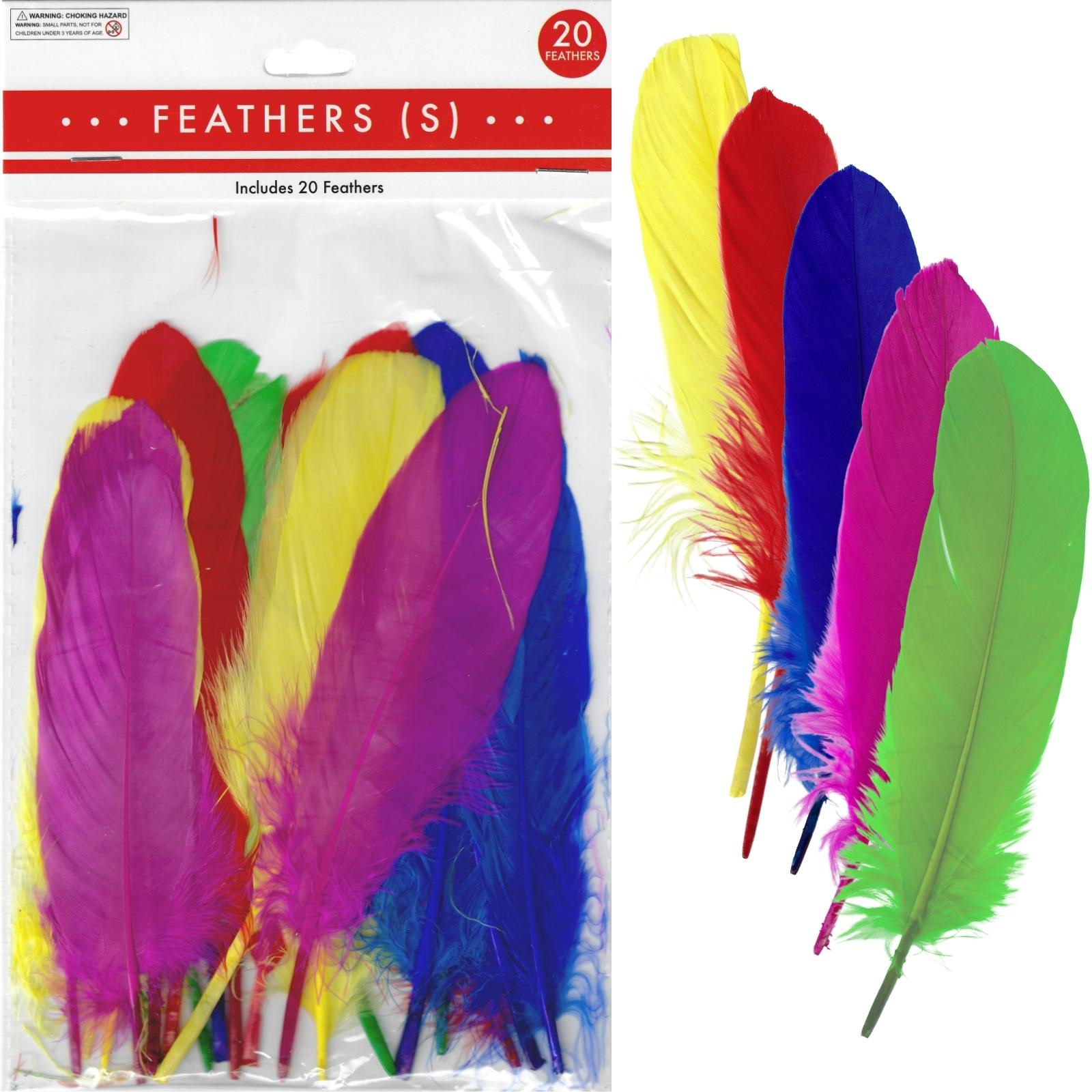 Assorted Coloured Feathers 17cm