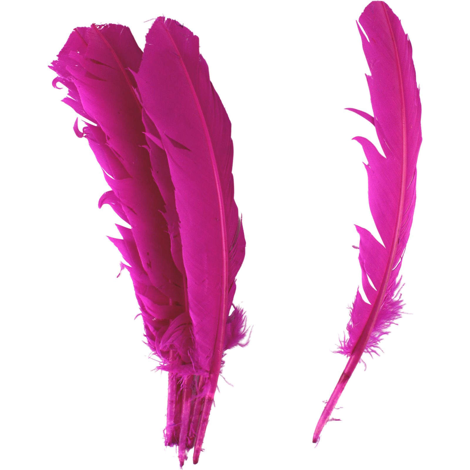 Hot Pink Feathers 28cm (Pack of 6)