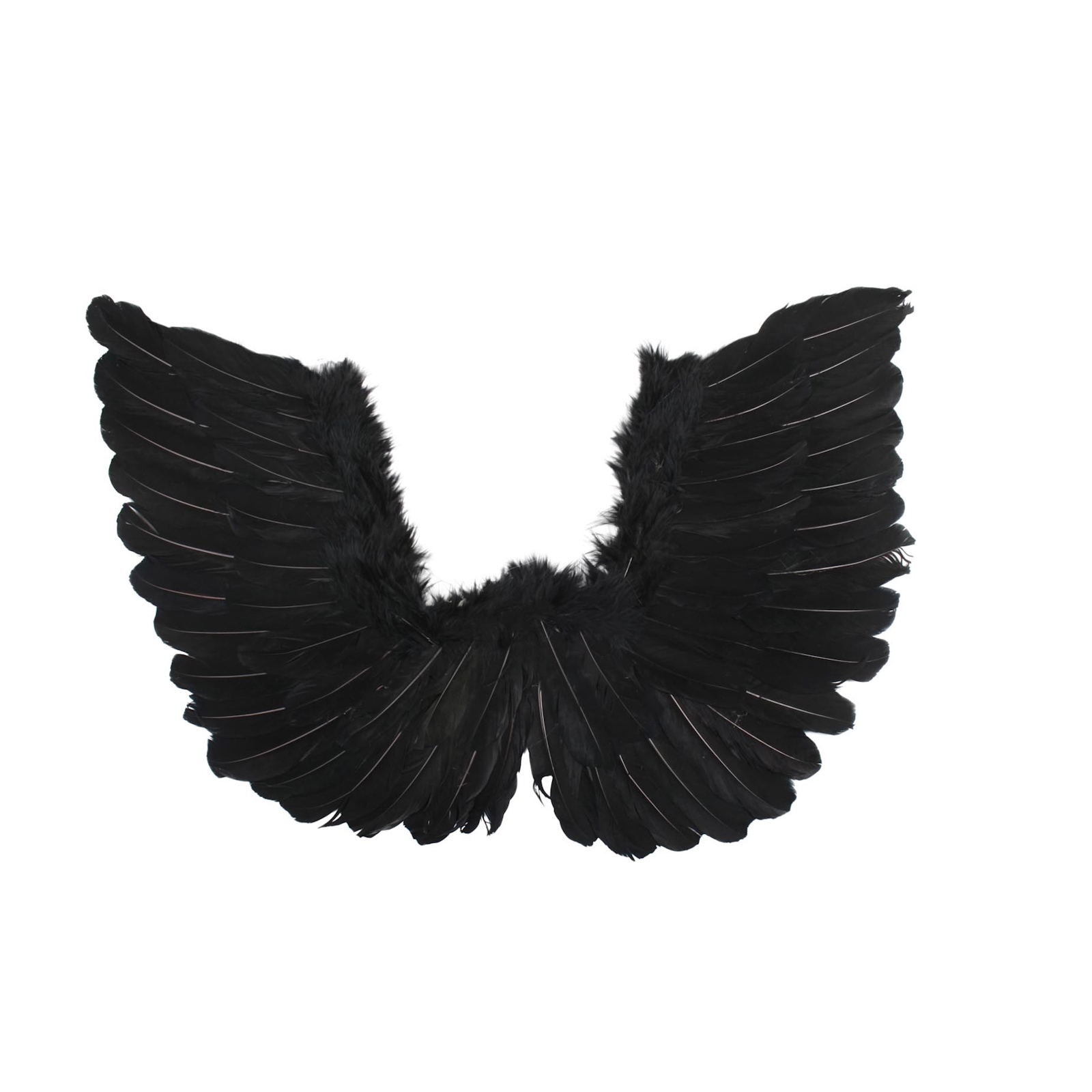 Black Feathered Angel Wings Small (50cm x 40cm) 