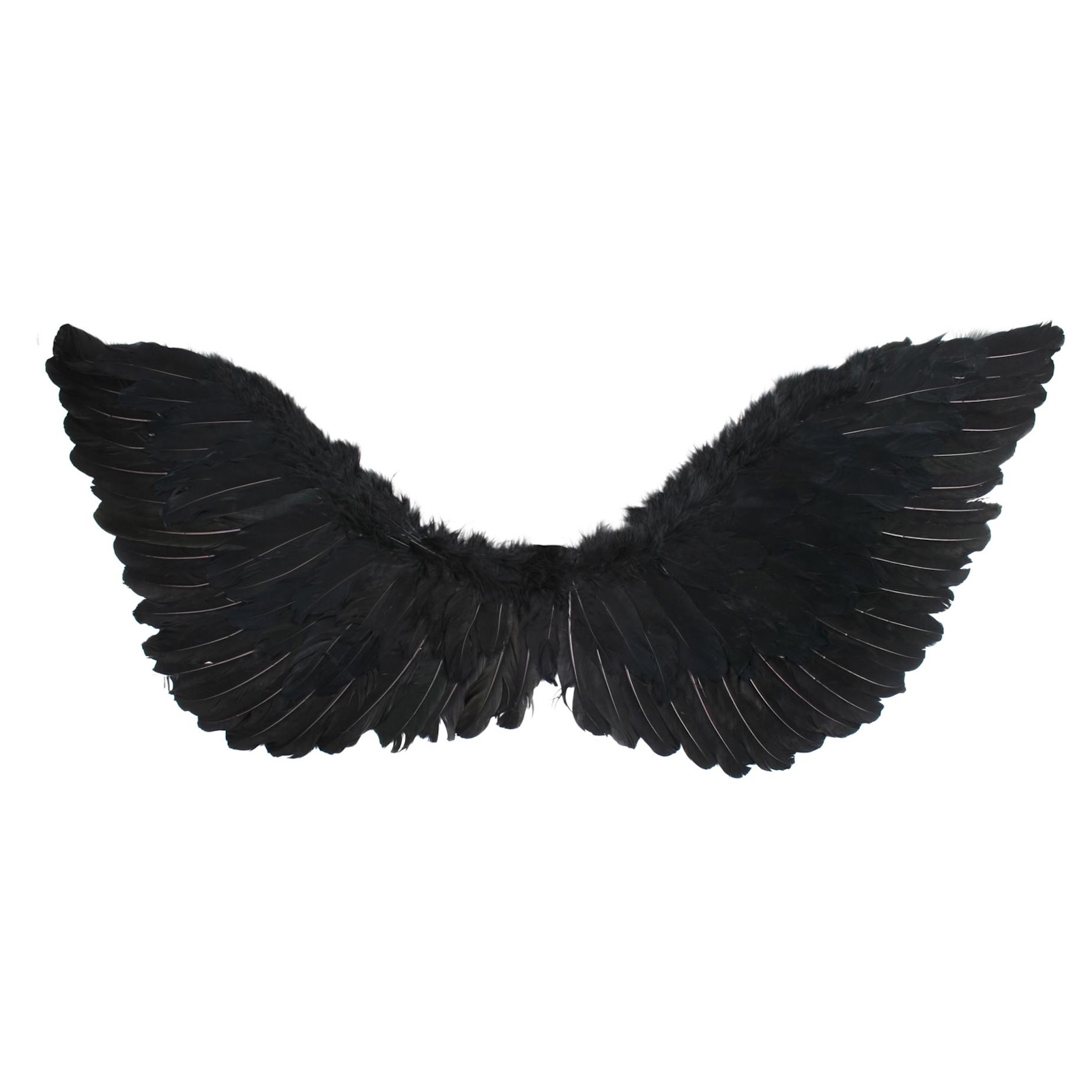 Black Feathered Angel Wings Medium (70cm x 30cm) 