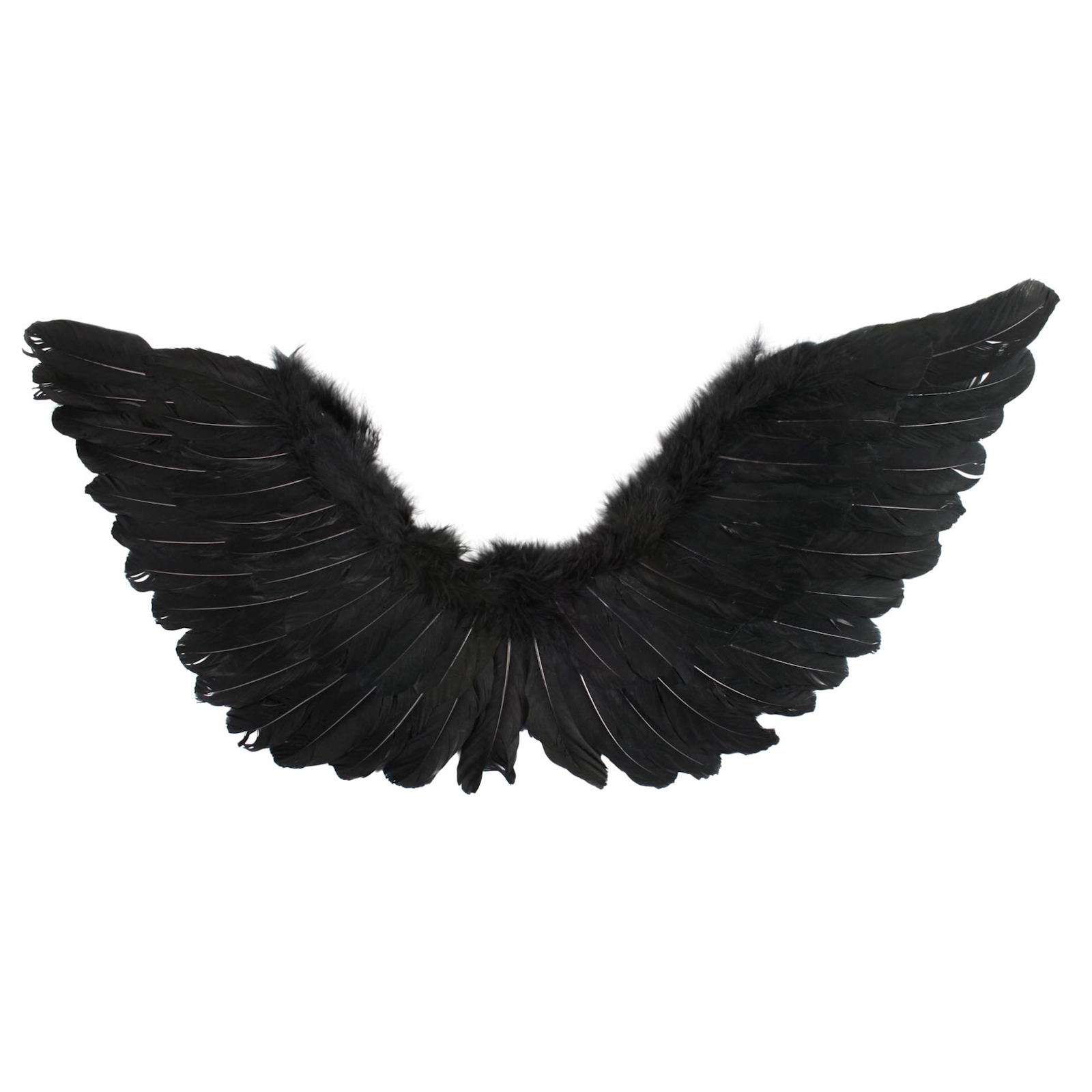 Black Feathered Angel Wings Large (90cm x 50cm) 