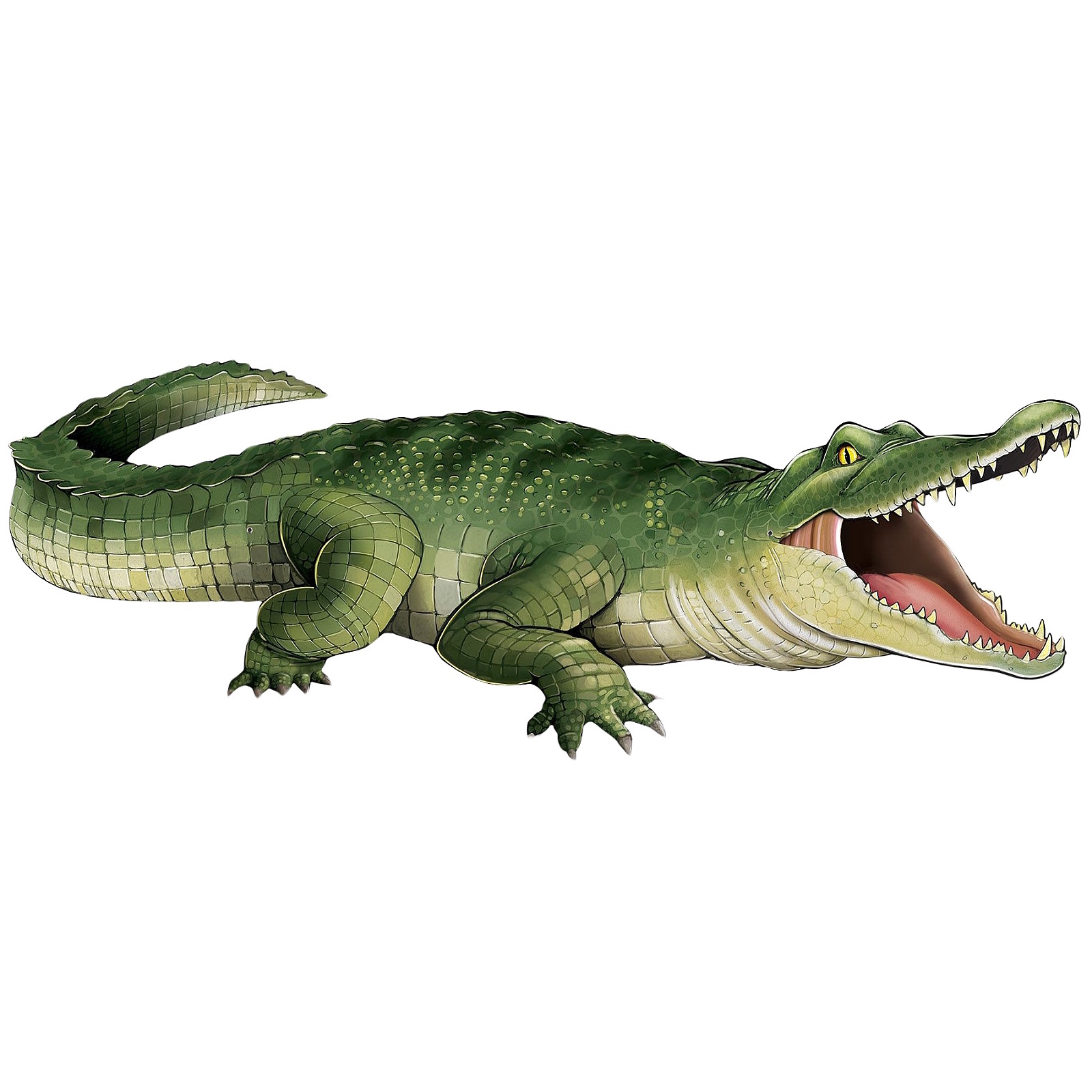 Crocodile Jointed Cutout Wall Decoration 