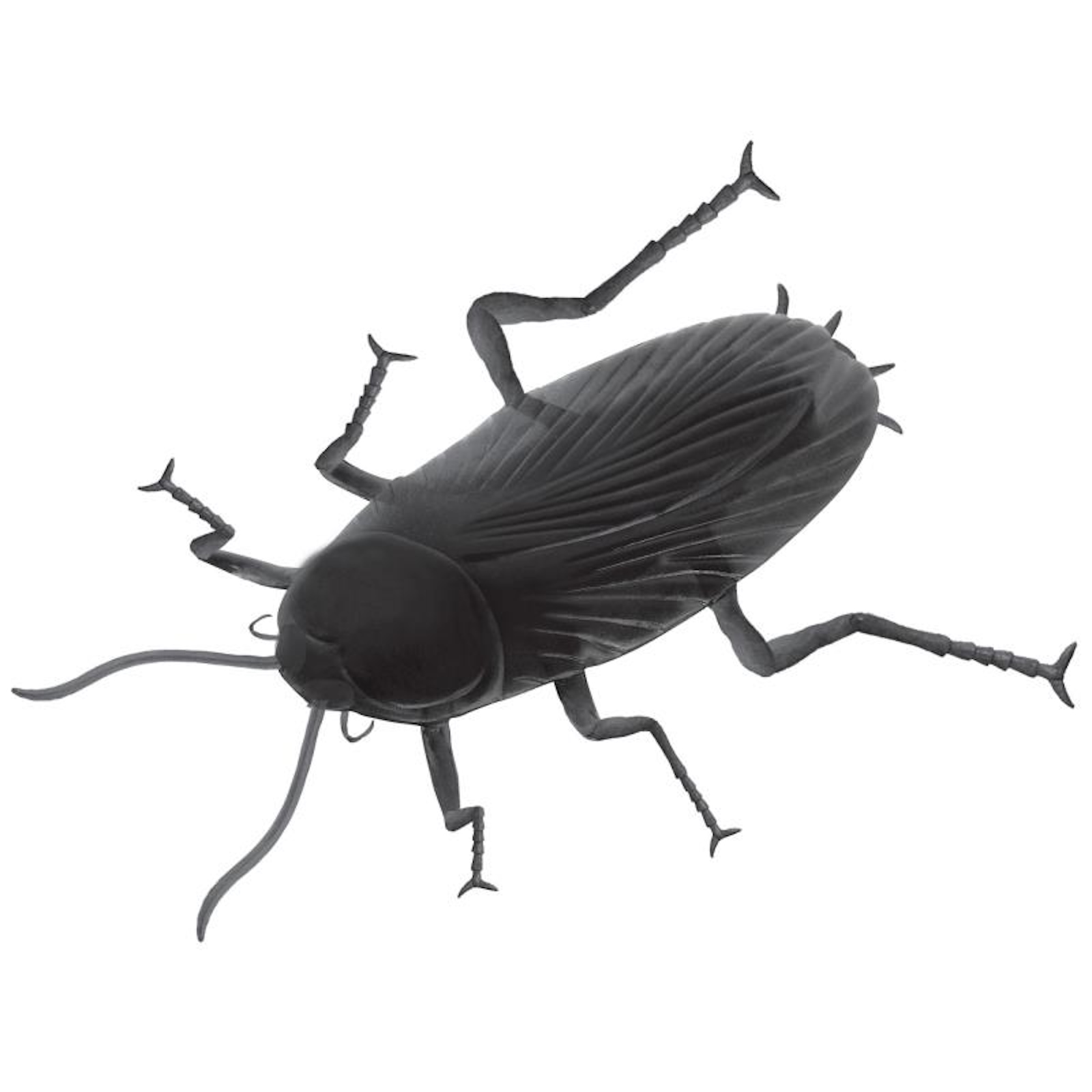 Giant Cockroach Decoration