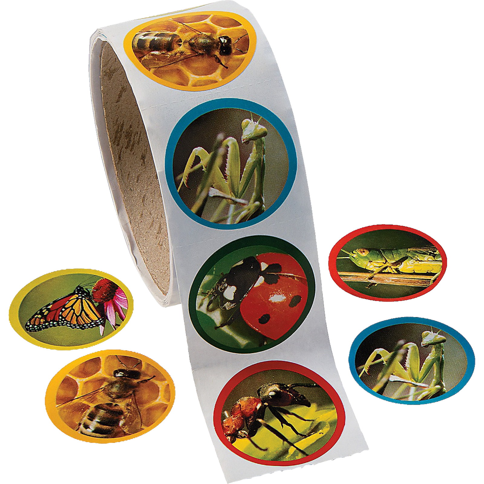 Bug & Insect Stickers (Roll of 100) 
