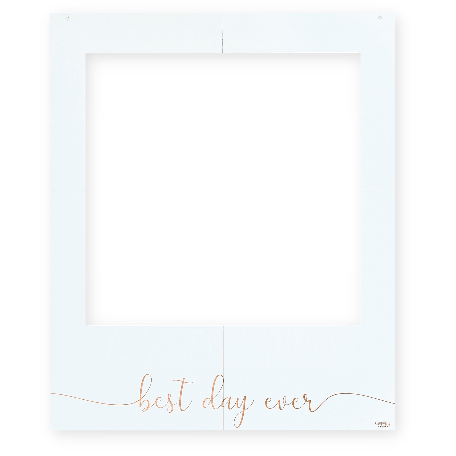 Ginger Ray Botanical Wedding Best Day Ever Photo Frame 