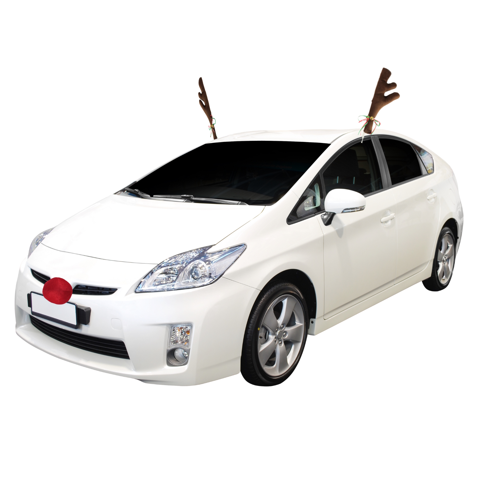 Reindeer Car Decorating Set 