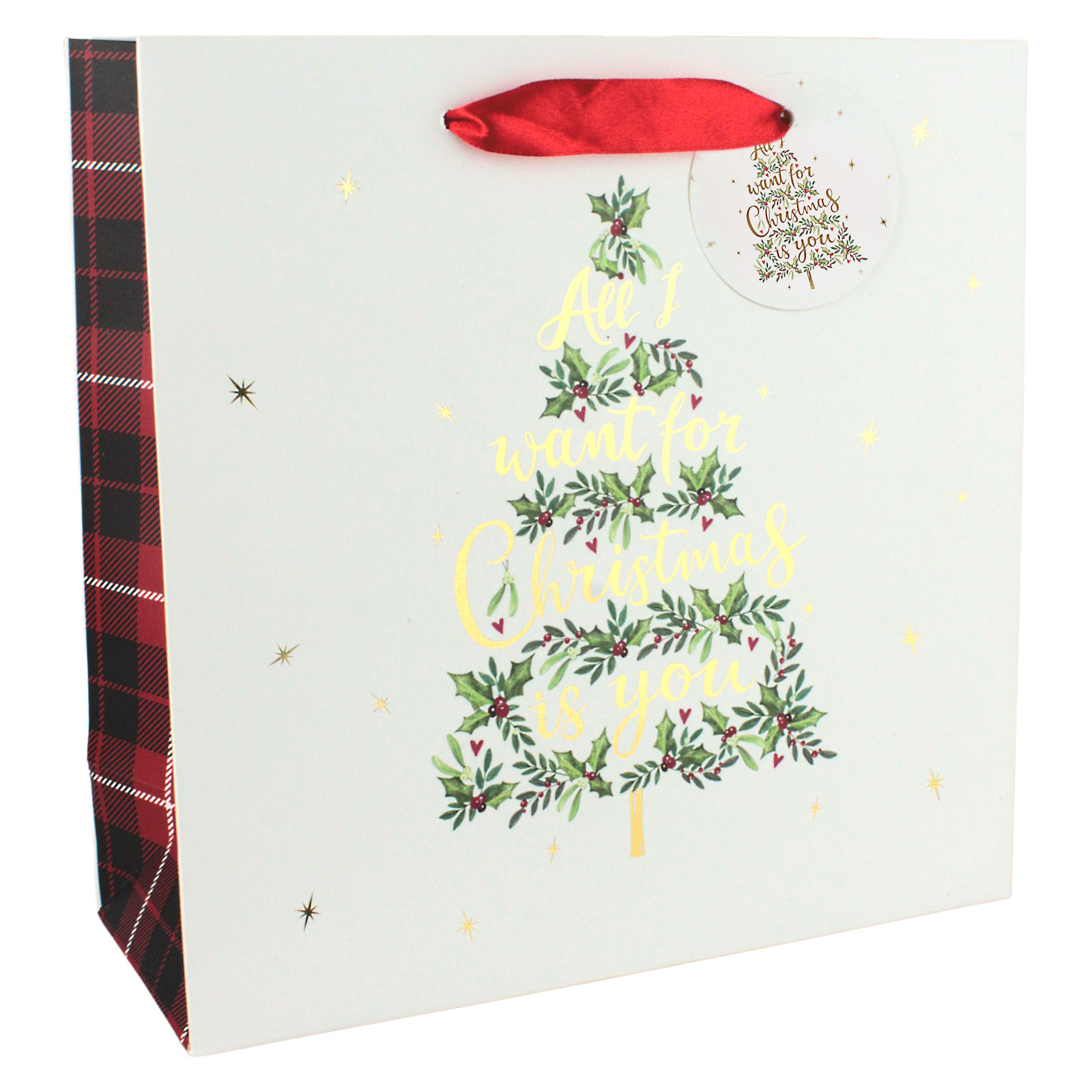All I Want For Christmas Is You Christmas Paper Gift Bag 25cm 