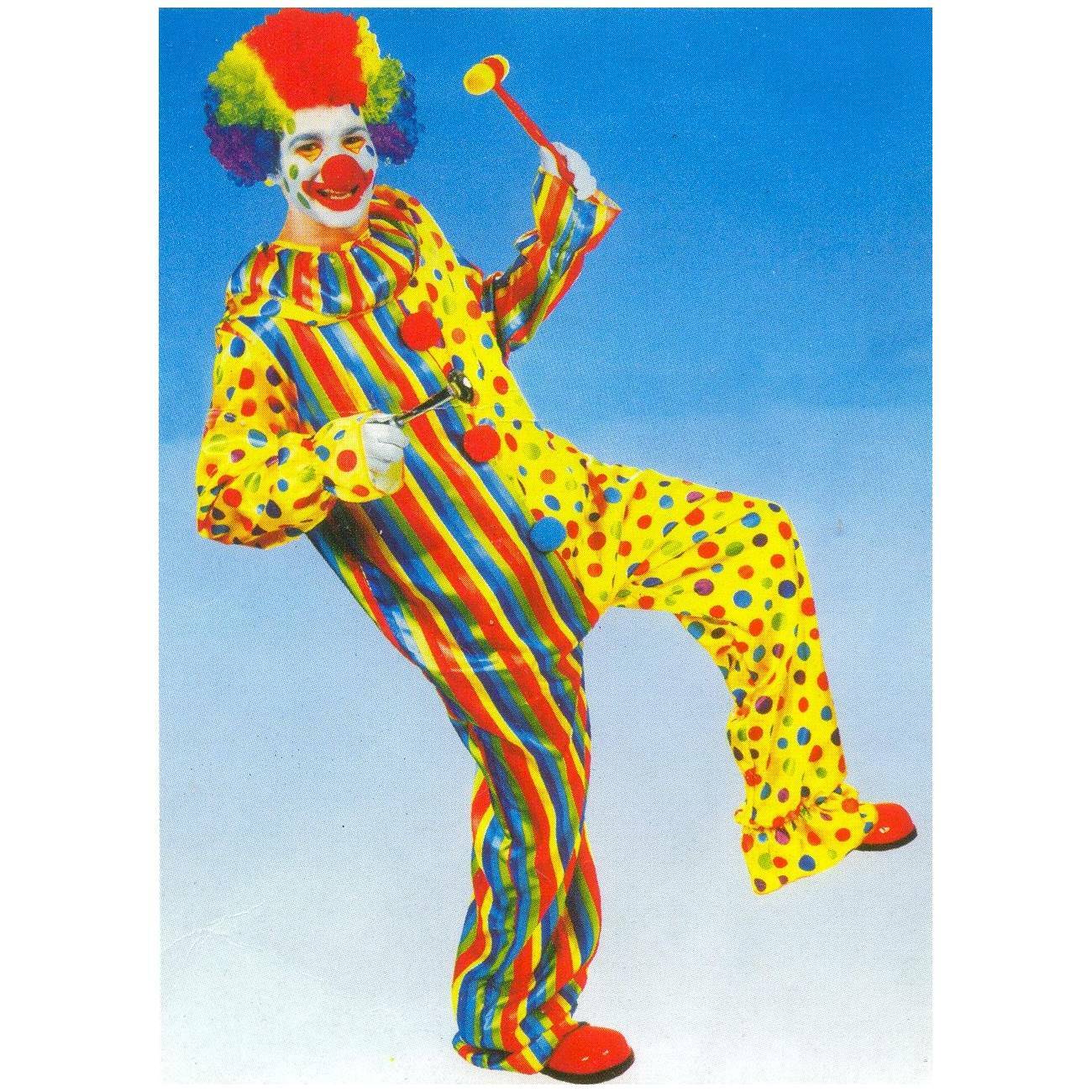 Adults Clown Costume