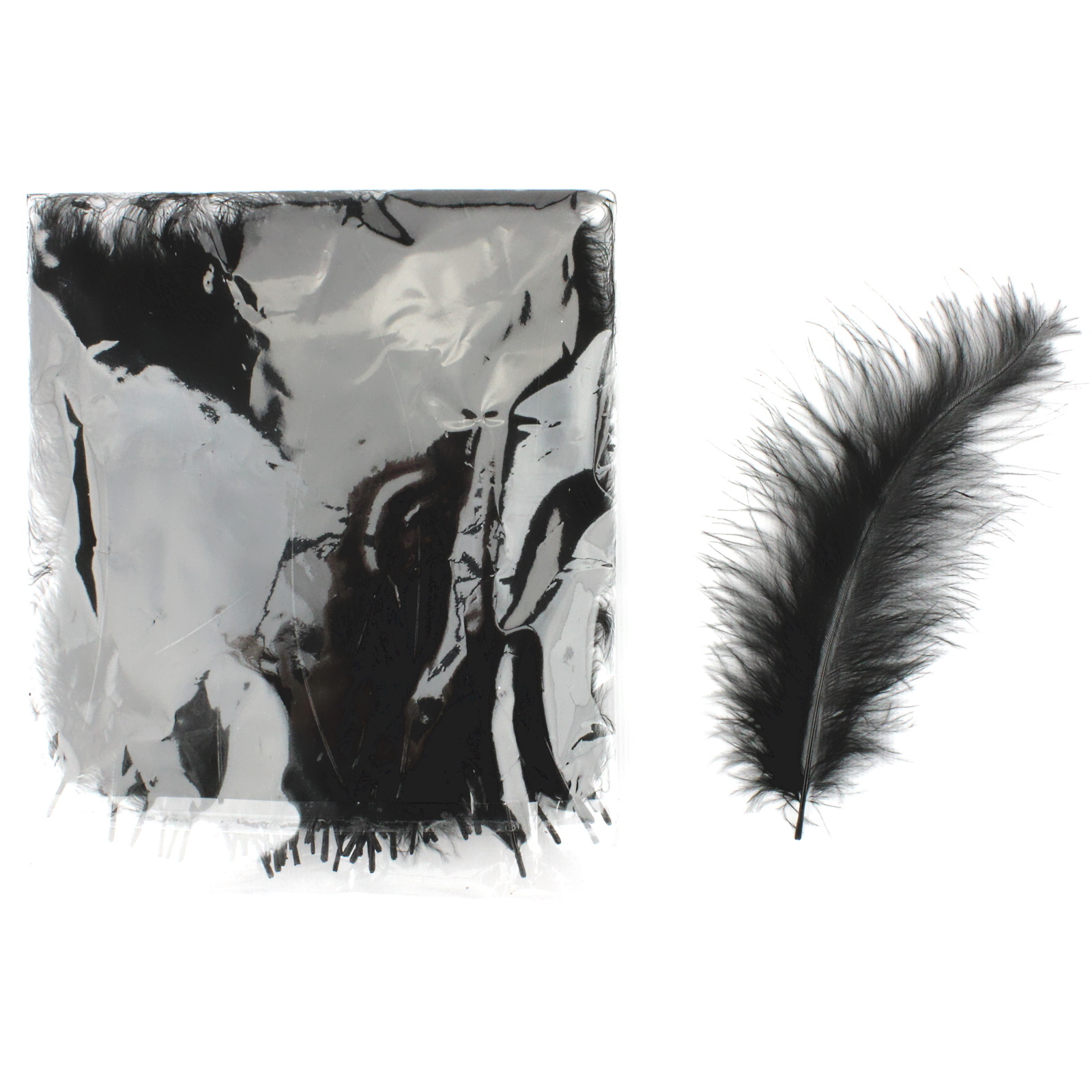 Black Feathers