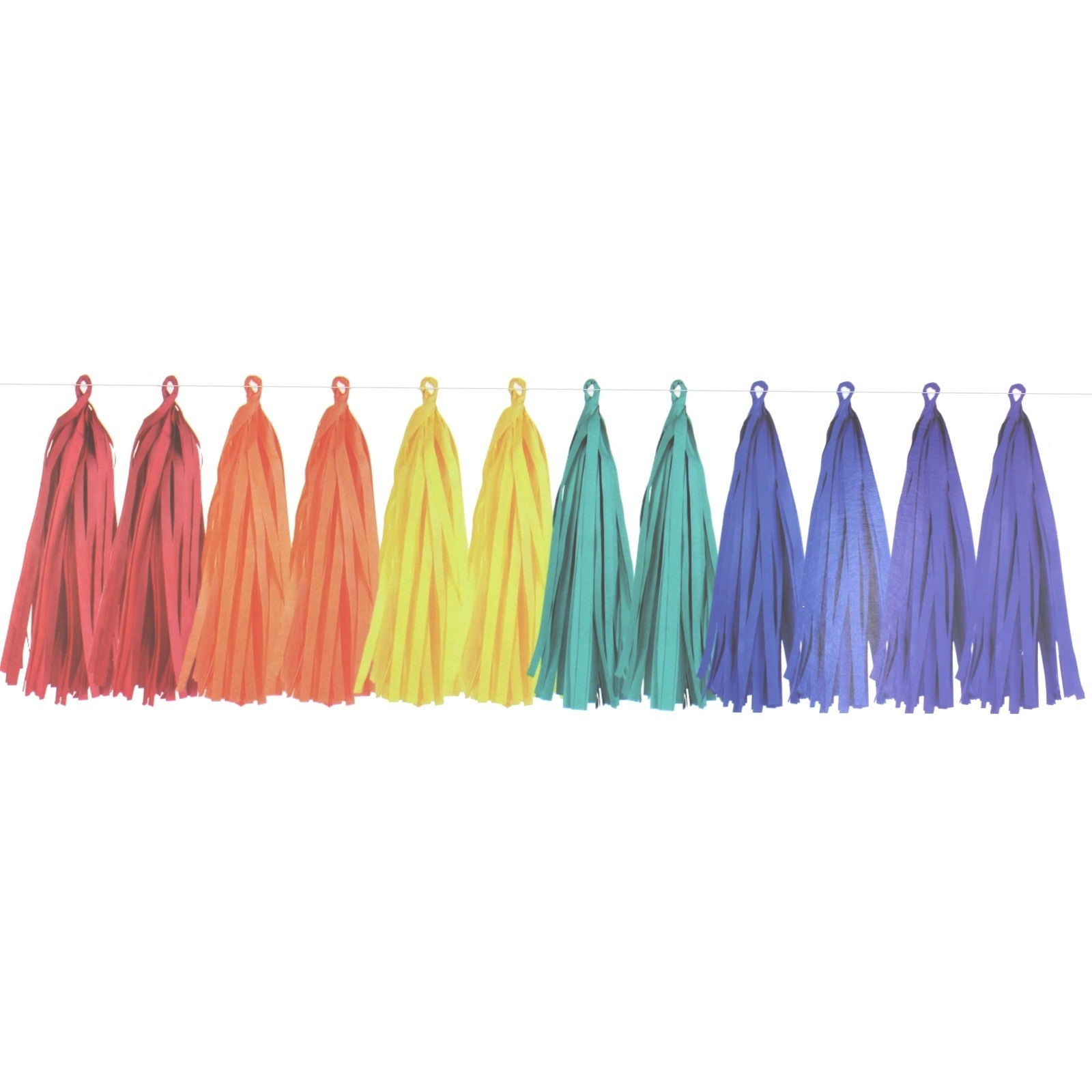 Rainbow Tissue Paper Tassel Garland Kit