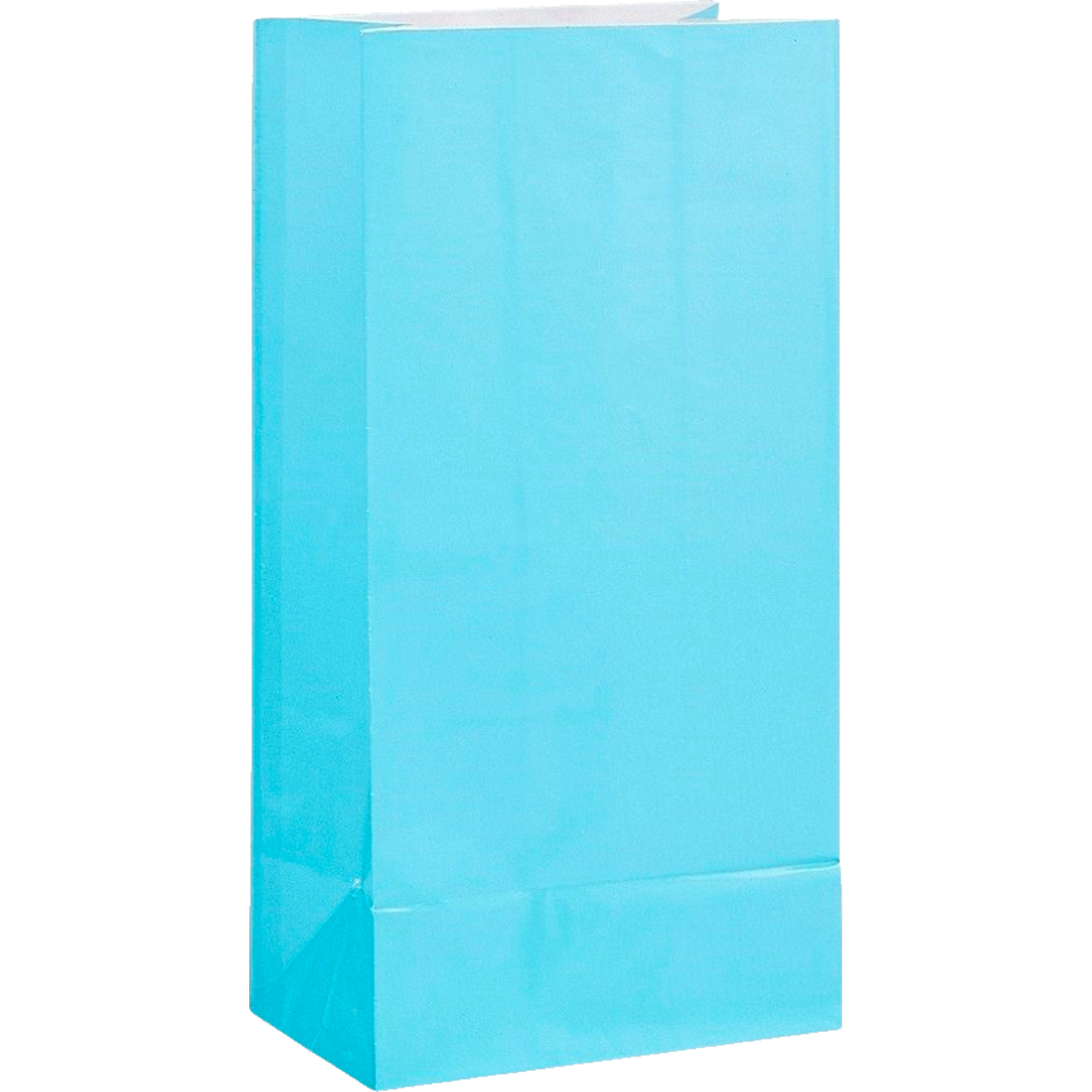 Light Blue Paper Party Bags (Pack of 12)
