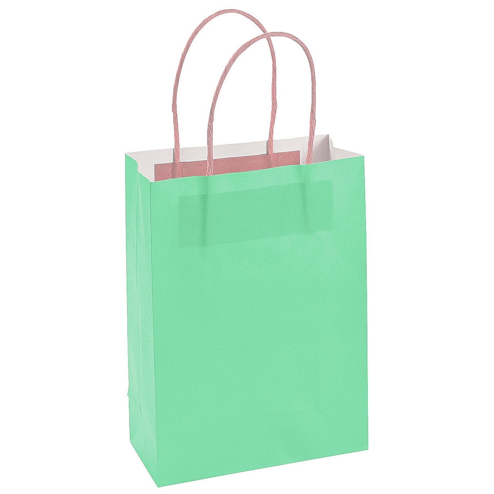 Mint Green Paper Gift Bags (Pack of 12)