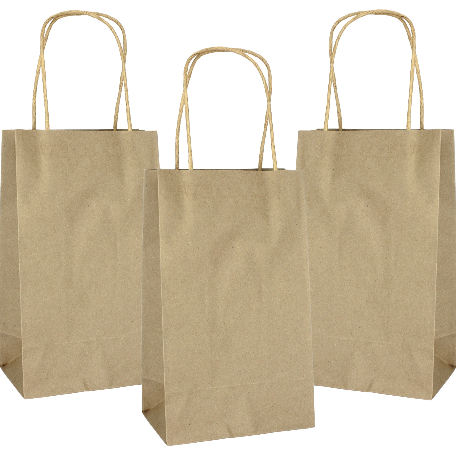 Brown Kraft Paper Gift Bags 21.5cm (Pack of 5) 