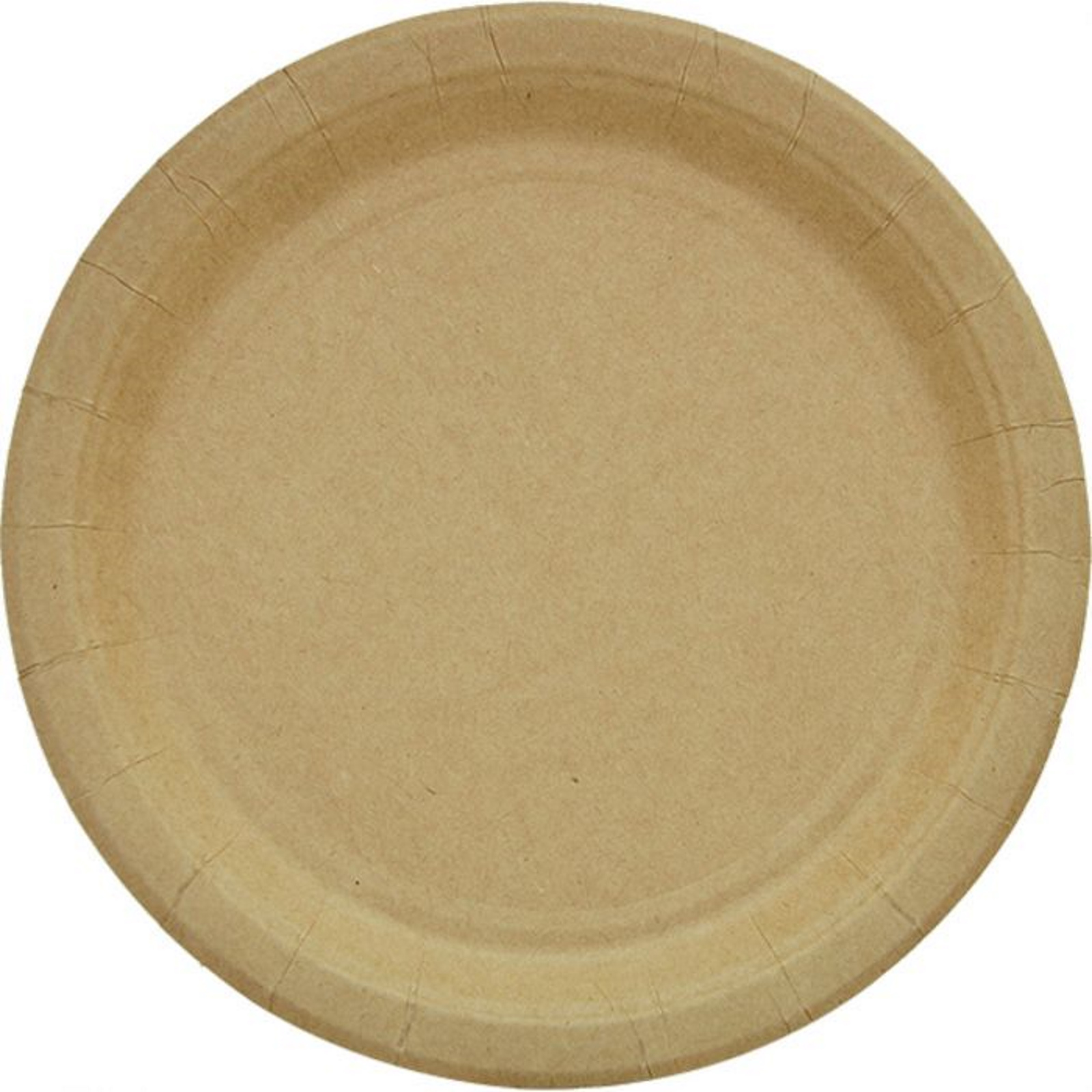 Brown Kraft Paper Large Plates (Pack of 20)