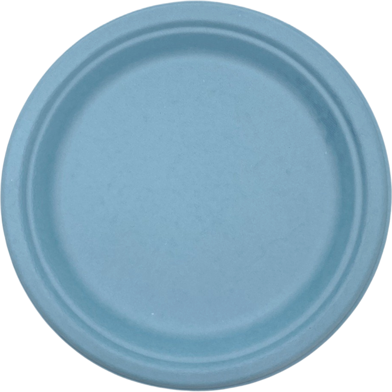 Pastel Blue Sugar Cane Large Plates (Pack of 25)