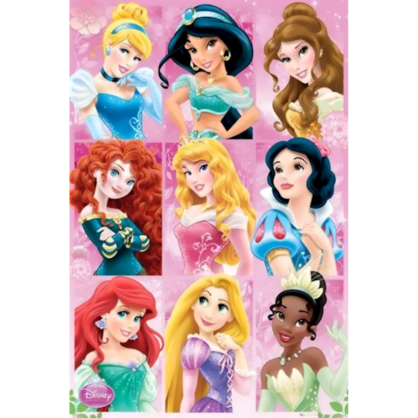 Disney Princess Poster  