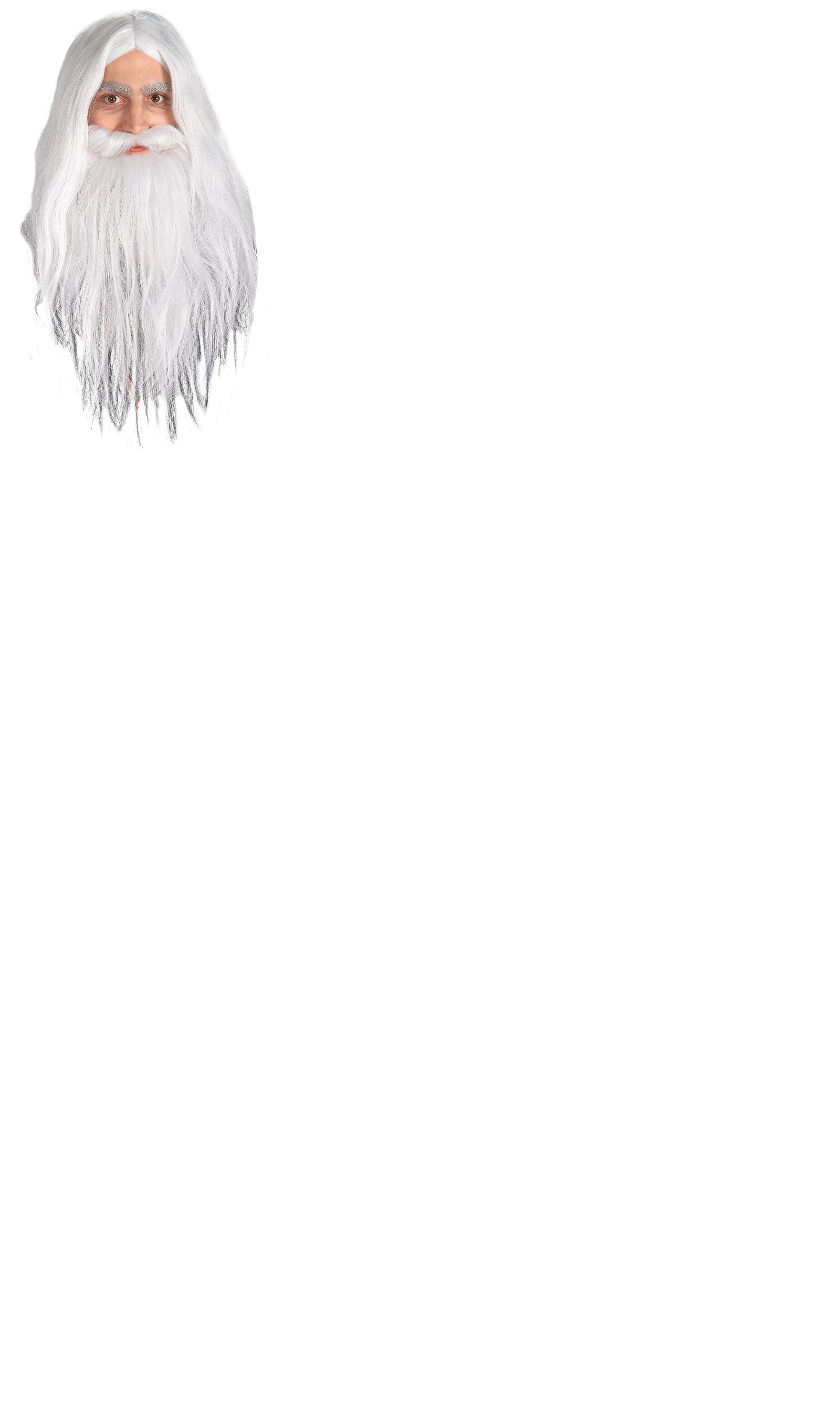 Lord of the Rings Gandalf Adult Wig & Beard Set
