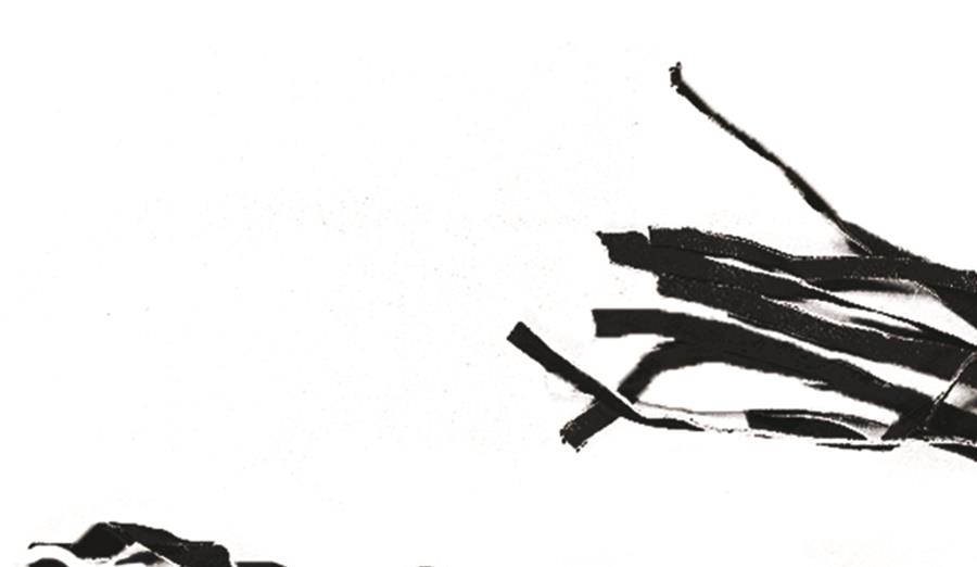 Cat O' Nine Tails Whip Economy Costume Accessory