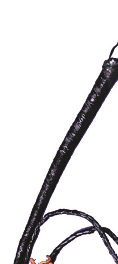Bull Whip 6ft Costume Accessory