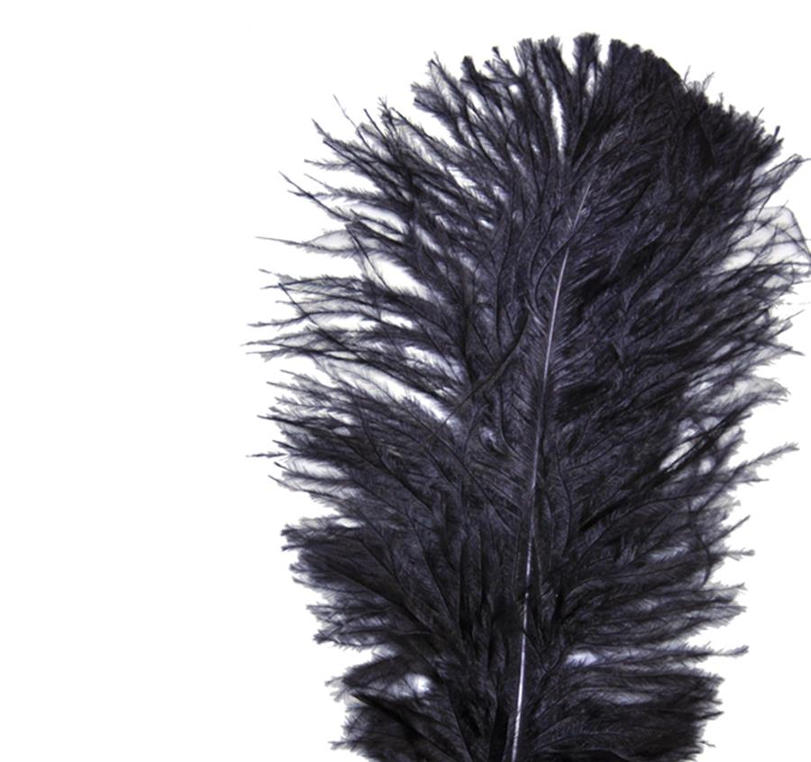 1920's Flapper Headband Adult Costume Accessory Black