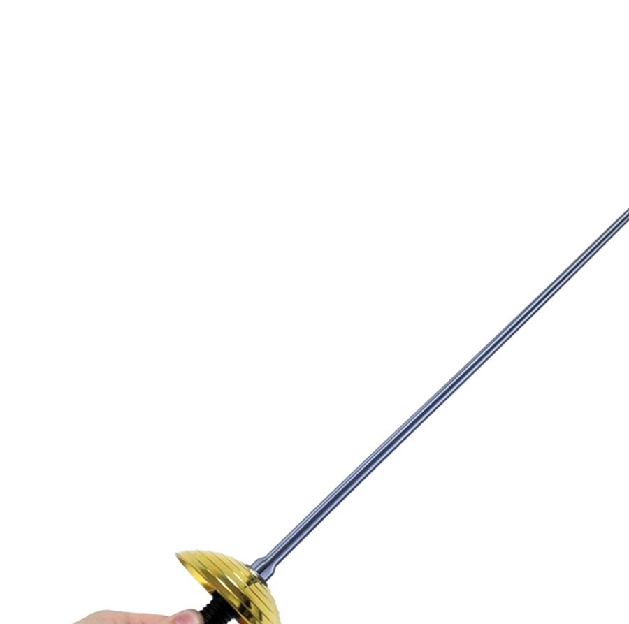 Plastic Fencing Sword Costume Accessory