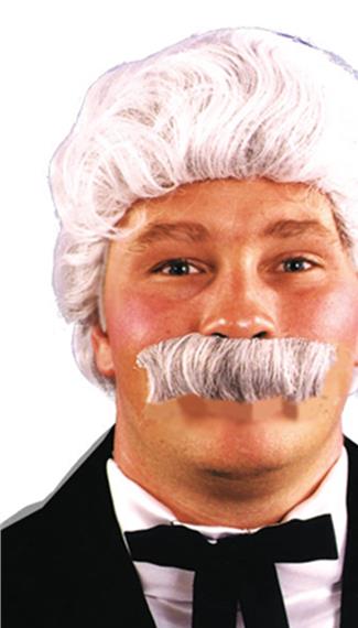 Mark Twain Adult Wig Moustache Kit