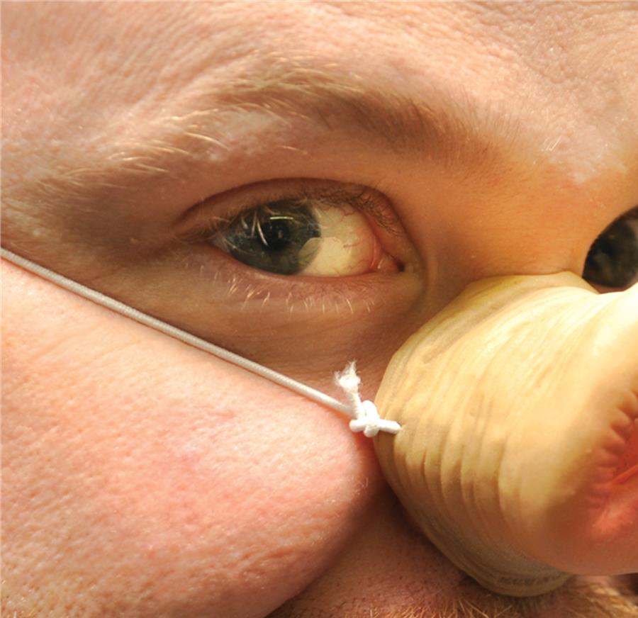 Pig Elastic Nose Costume Accessory