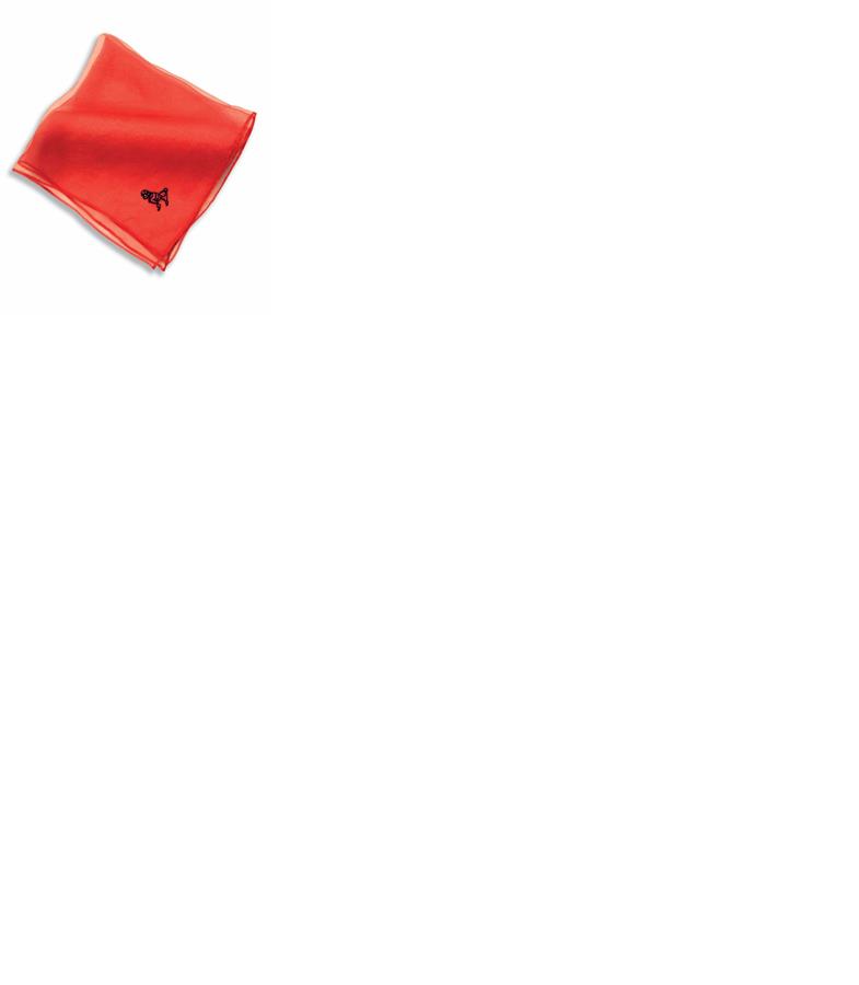 1950's Chiffon Poodle Scarf Red Adult Costume Accessory