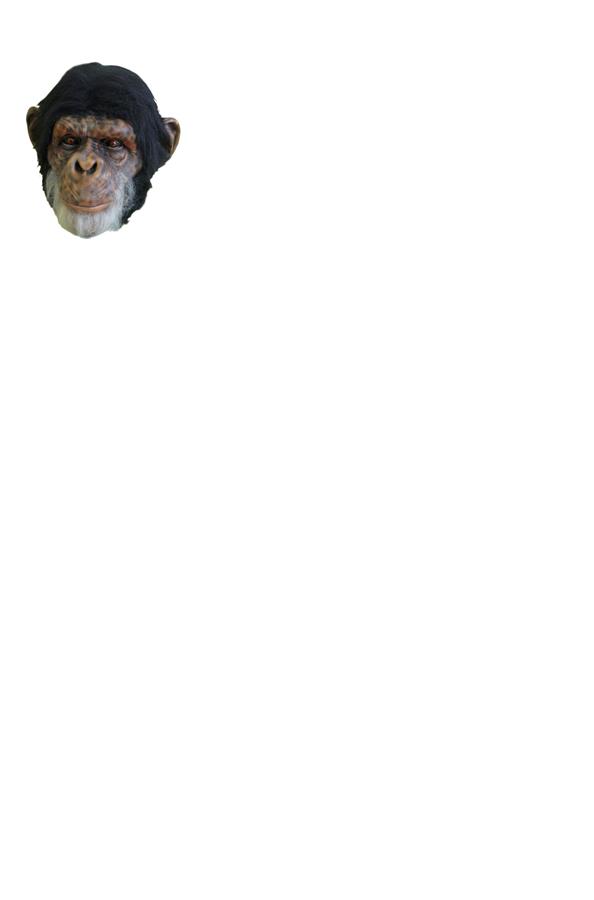 Monkey Chimp Latex Adult Mask