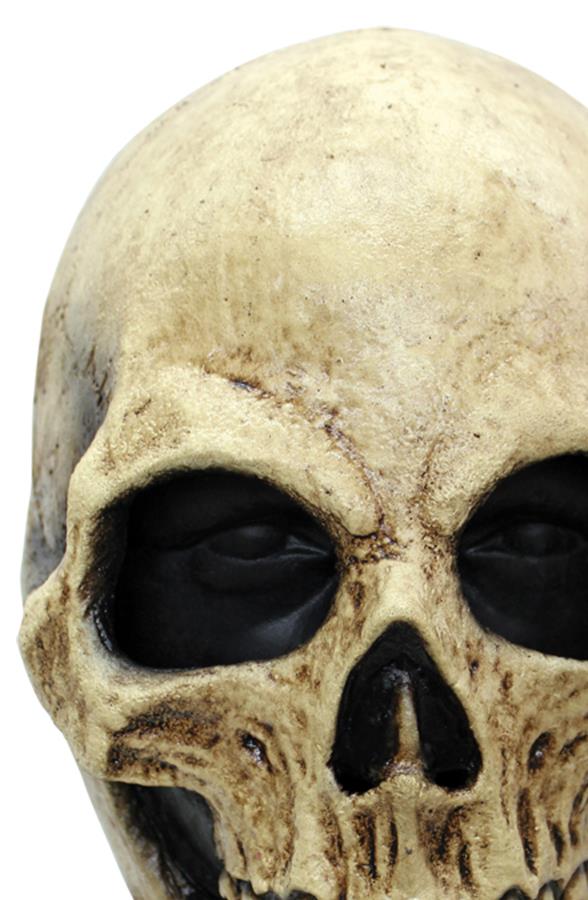 Bone Skull Latex Adult Mask