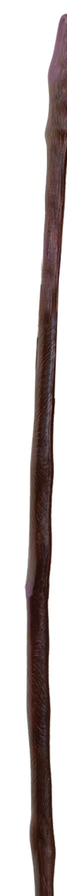Walking Staff Costume Accessory