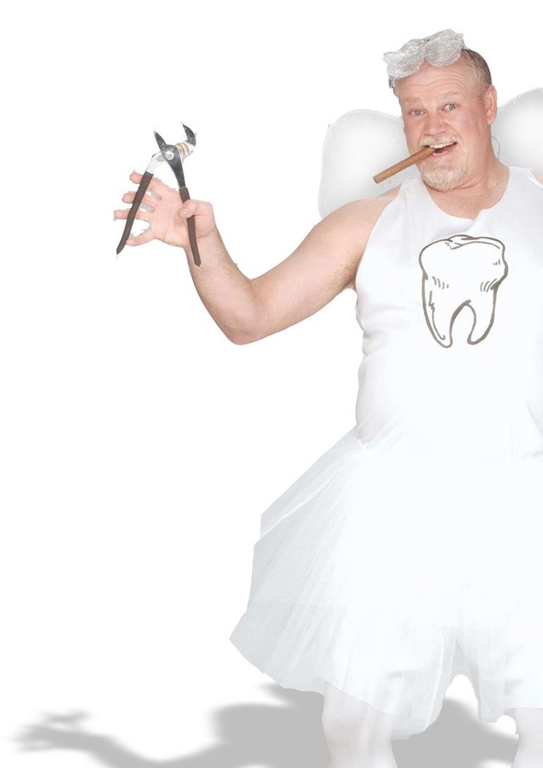 Tooth Fairy Adult Plus Costume