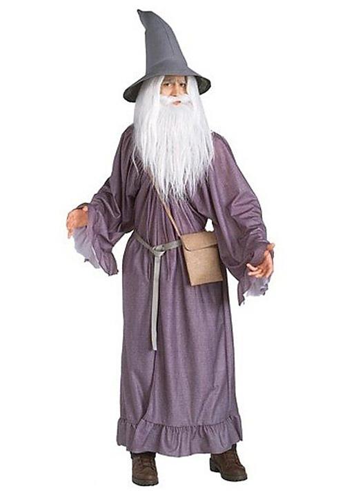 The Lord of the Rings Gandalf Adult Costume