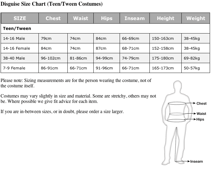 The Legend of Zelda Link Classic Teen Costume