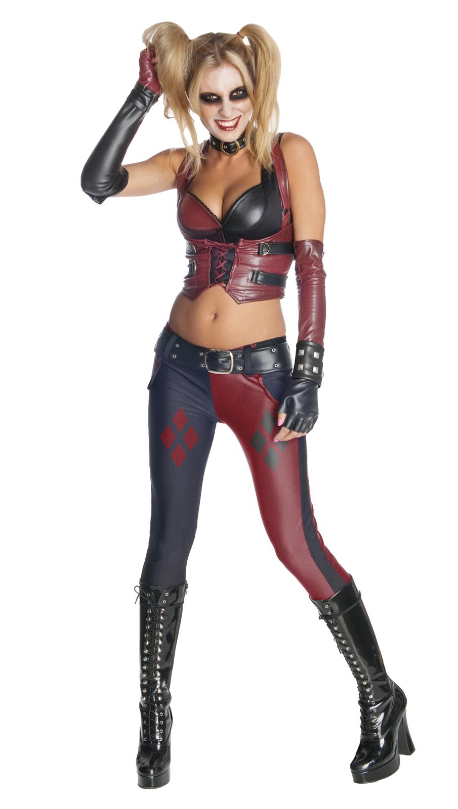 Batman Arkham City Secret Wishes Harley Quinn Adult Costume