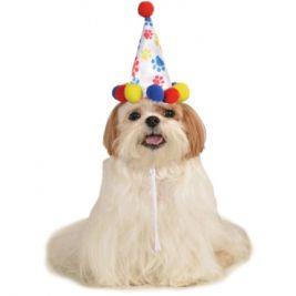 Paw Print Boy Pet Birthday Hat