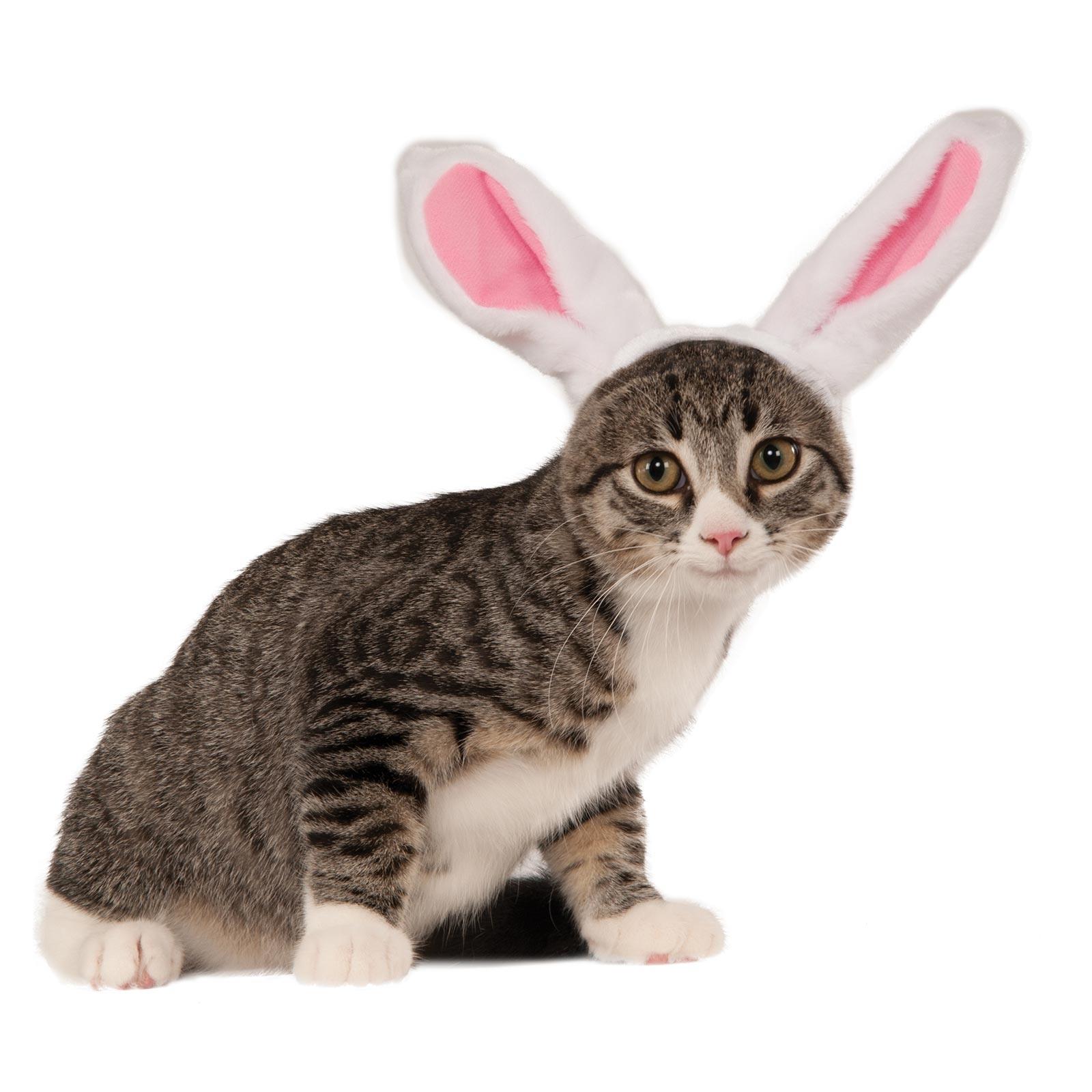 Bunny Ears Headband Pet Costume Accessory