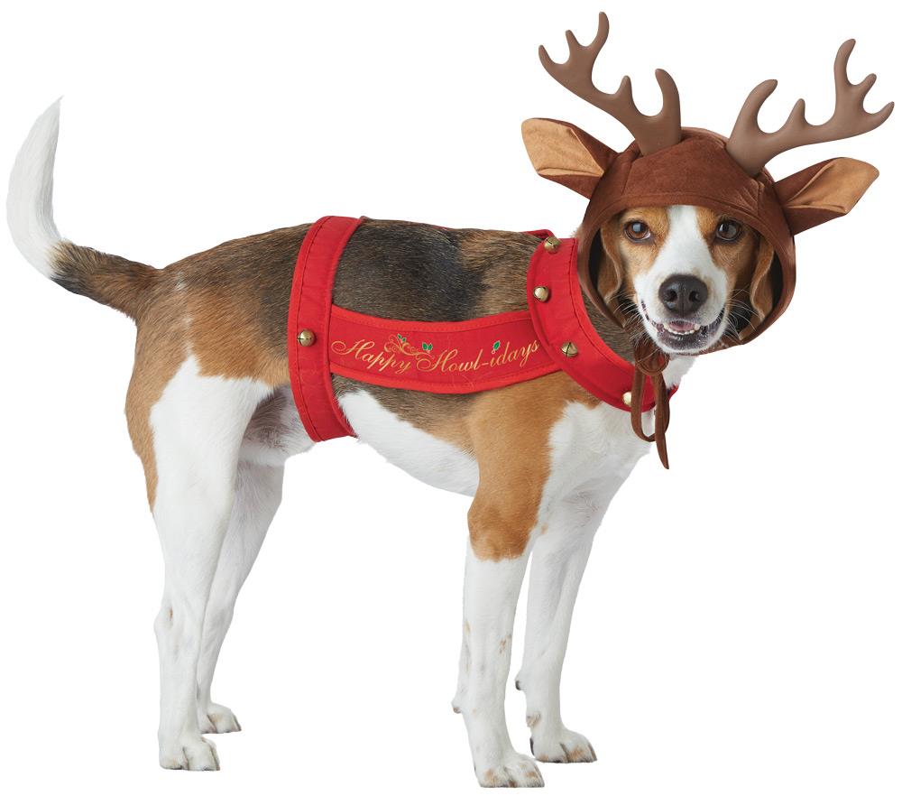 Reindeer Dog Pet Costume