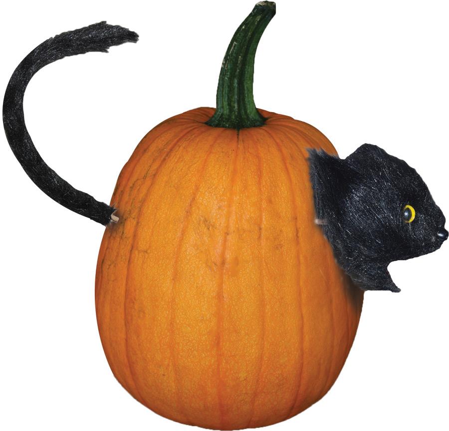 Cat Pumpkin Push In Halloween Decorations