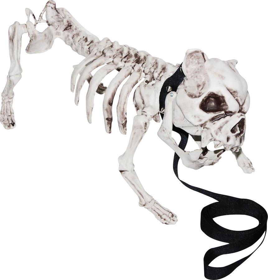 Skeleton Dog Halloween Prop