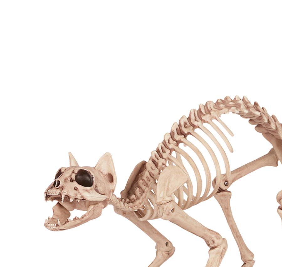 Skeleton Cat Halloween Prop