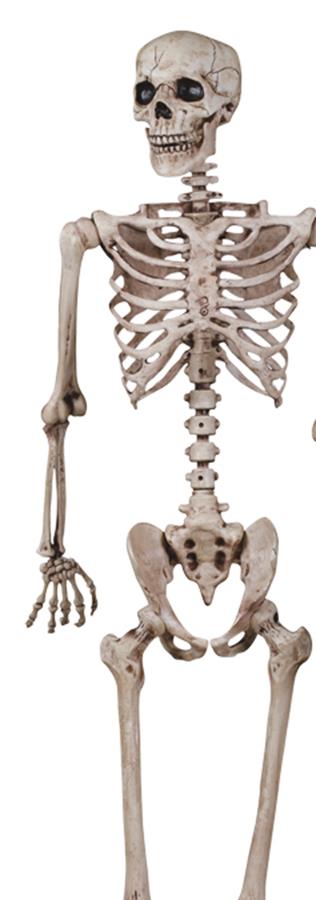 Poseable Skeleton Halloween Prop