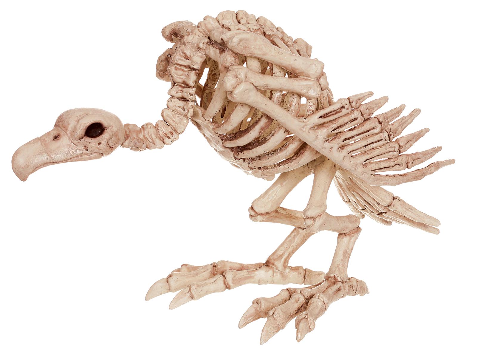 Skeleton Vulture Halloween Prop