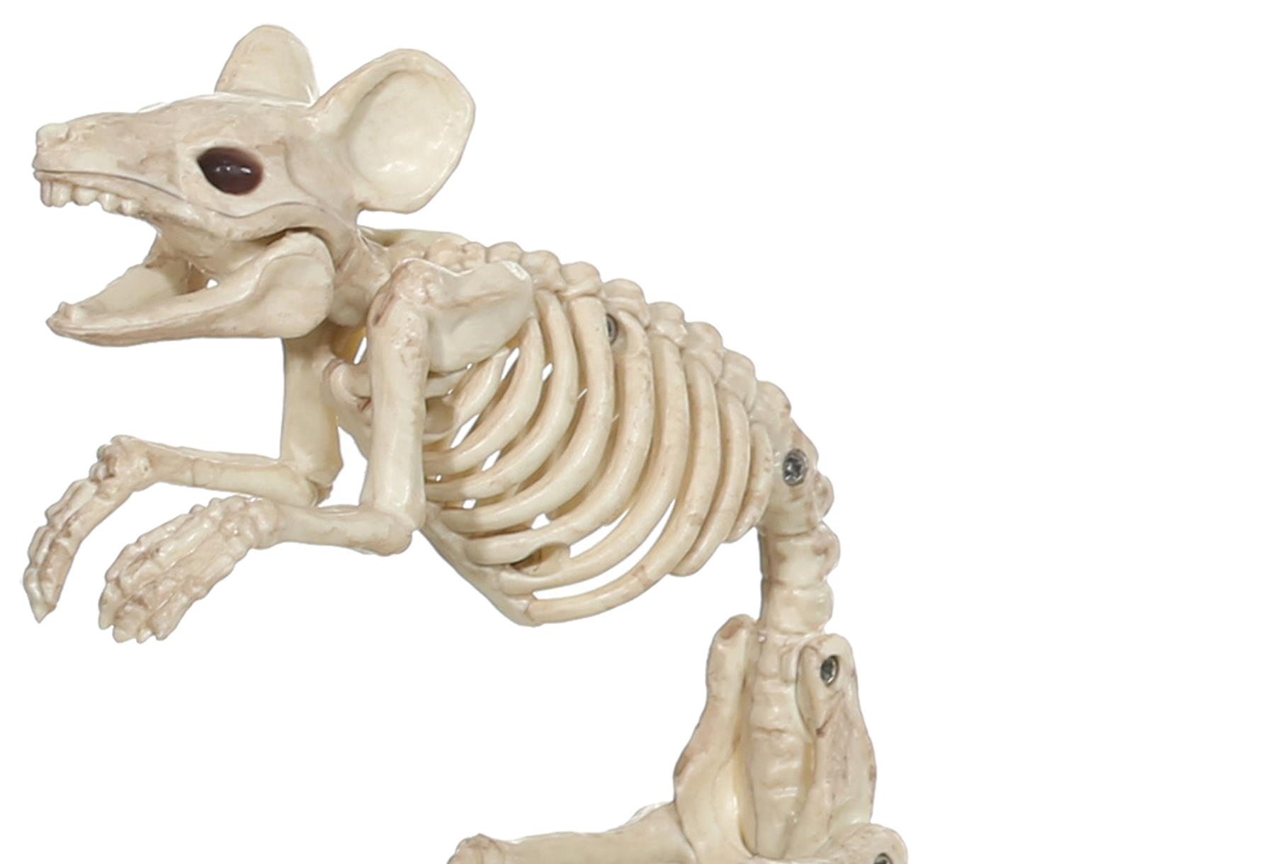 Mouse Standing Skeleton Halloween Prop