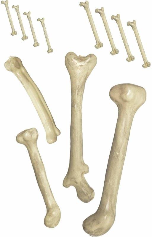 Bag of Bones Halloween Prop