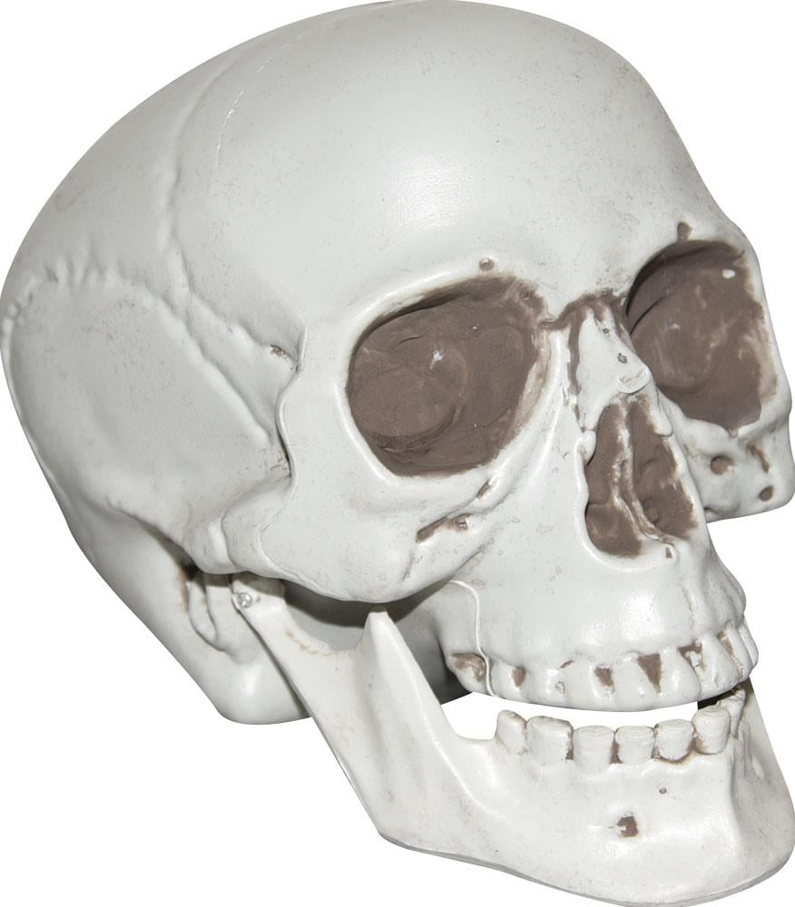 Movable Jaw Talking Skull Halloween Prop