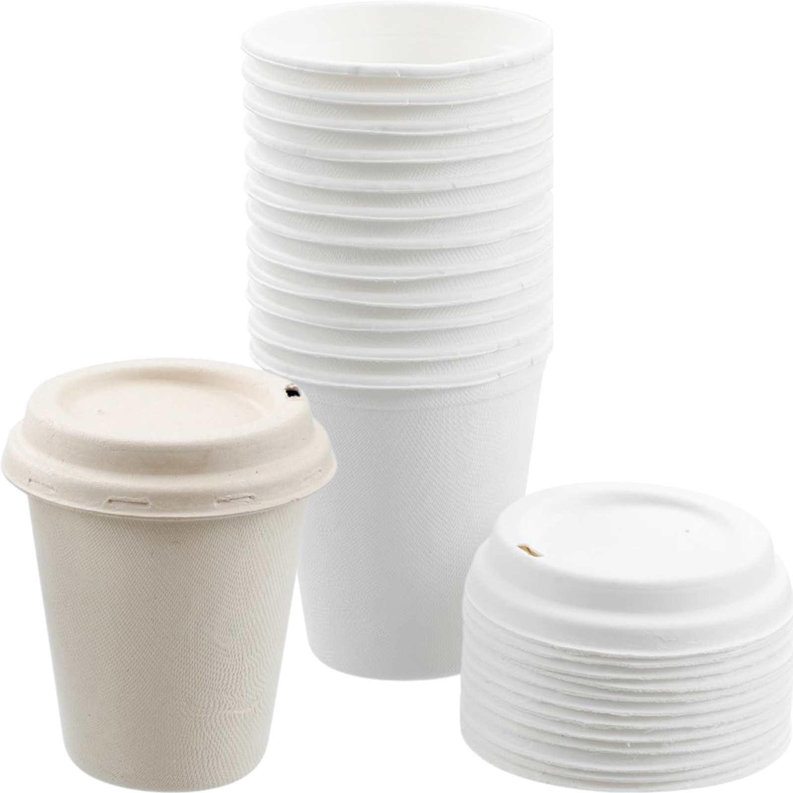 Pack of 12 Eco Sugar Cane Coffee Cups With Lids 350ml (1 Only)