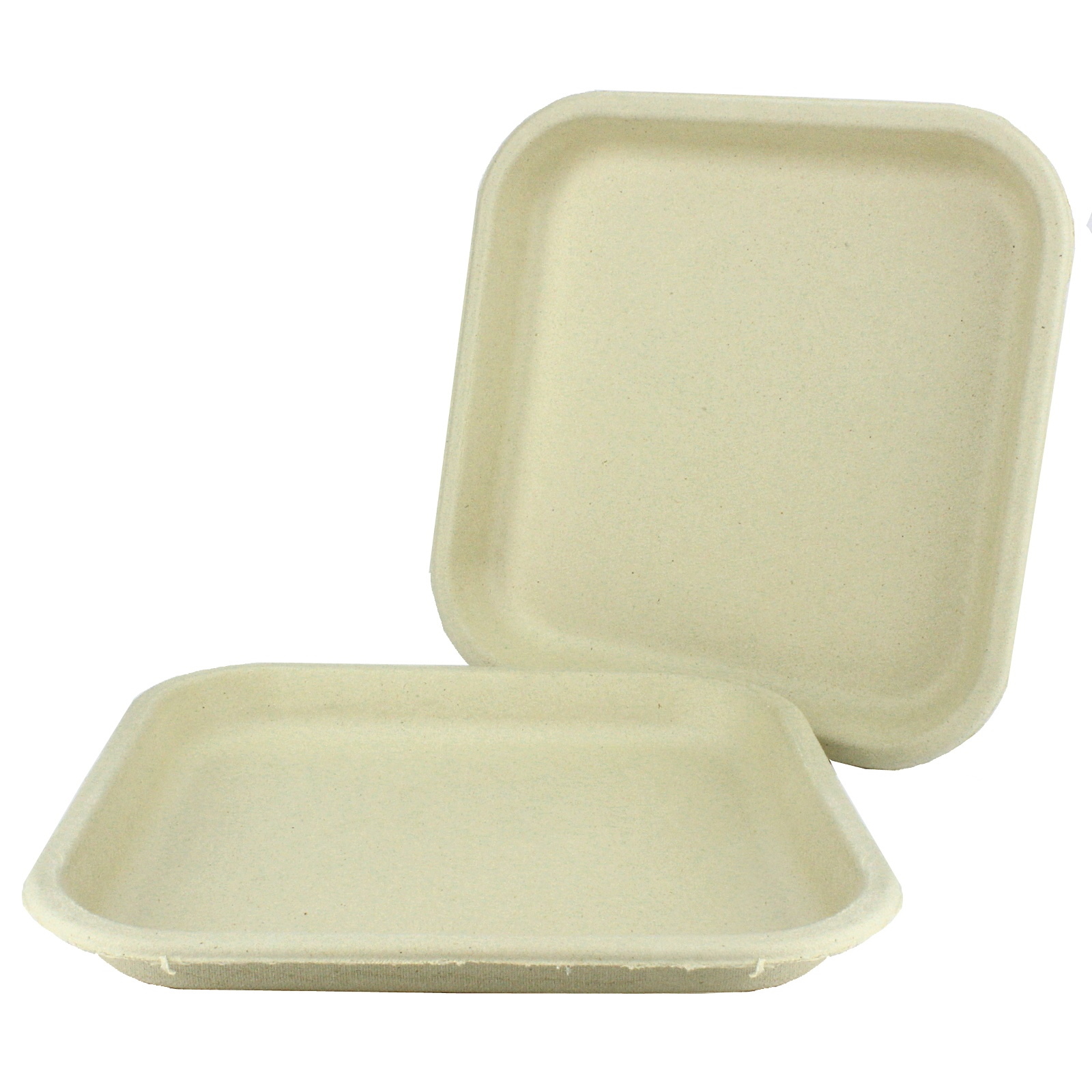 Sugarcane Pulp Large Plates (Pack of 25)